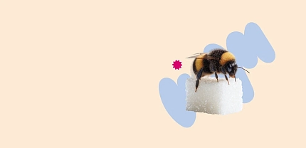 Сахарный диабет под контролем